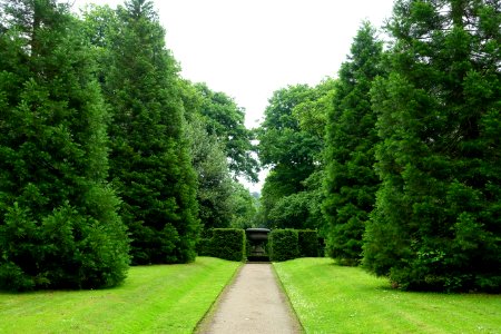 Wellingtonia Avenue - Biddulph Grange Garden - Staffordshire, England - DSC09225