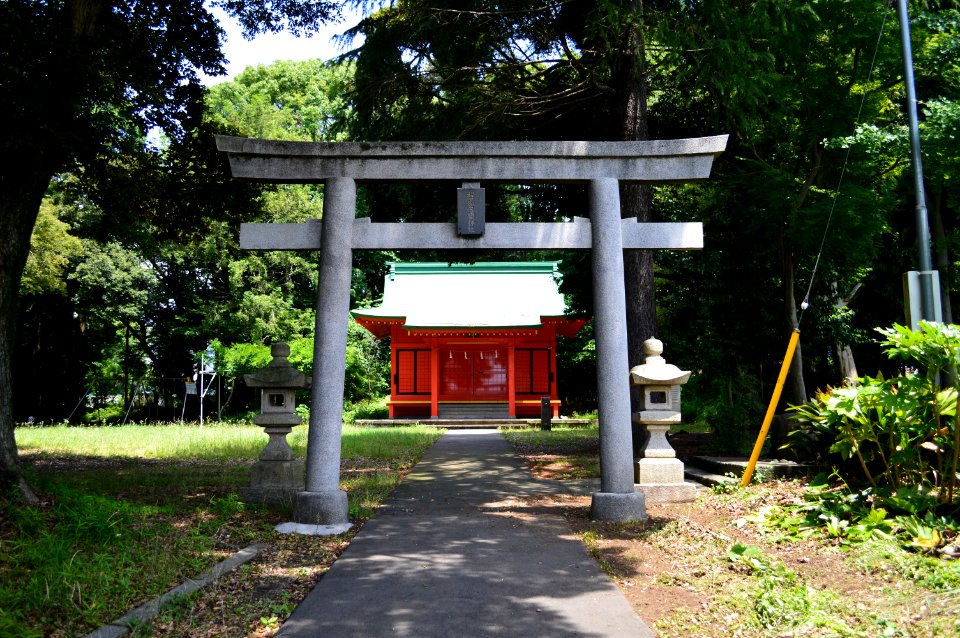 Wakanomiya-sengen-jinja torii