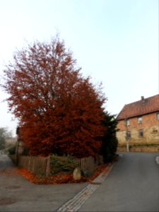 Walpernhain 29
