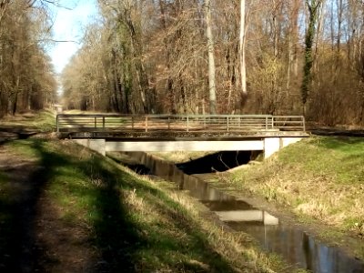 Weidgraben, Brücke