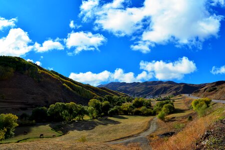 Landscapes nature sky grass
