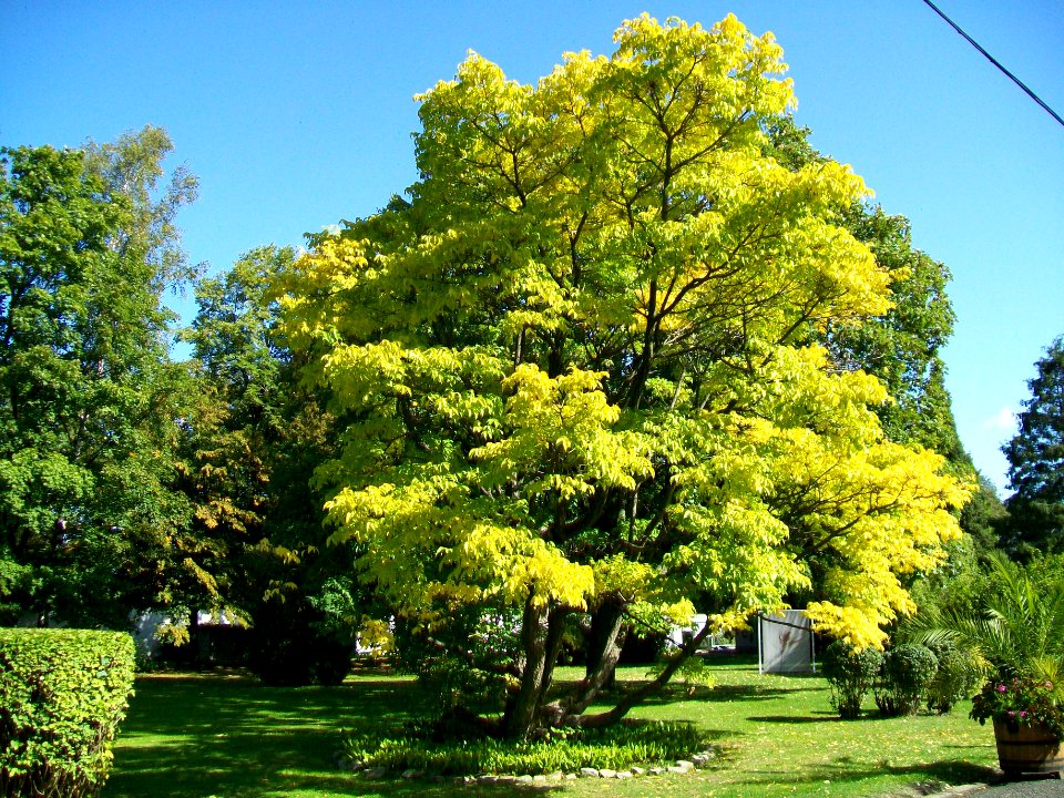 WAŁBRZYCH-PALMIARNIA, AB-013