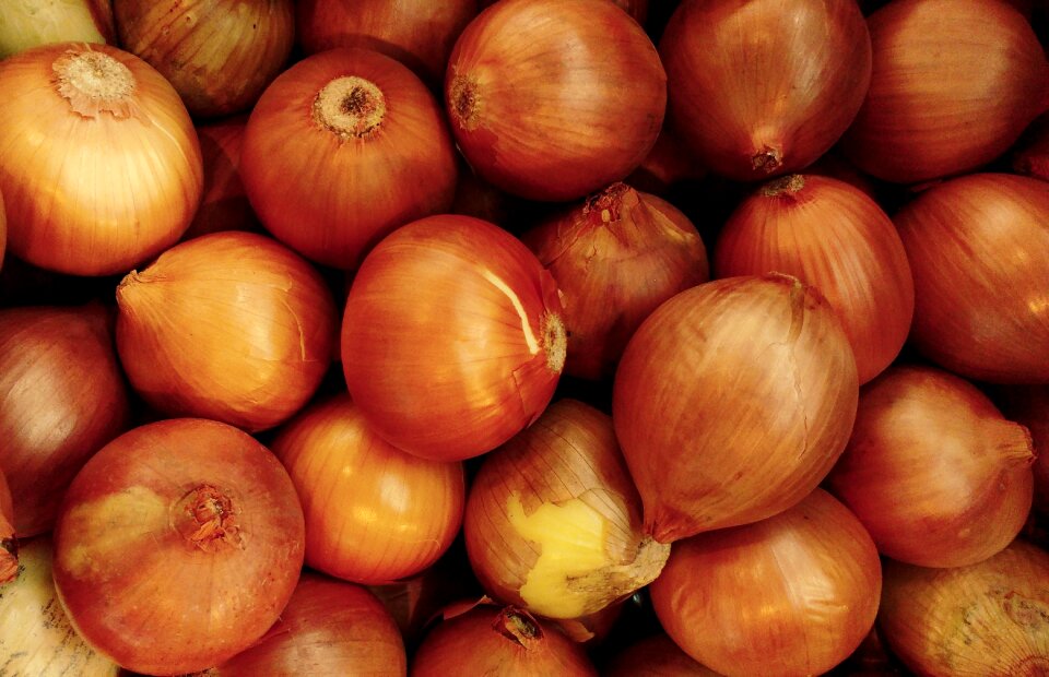Agriculture harvest food