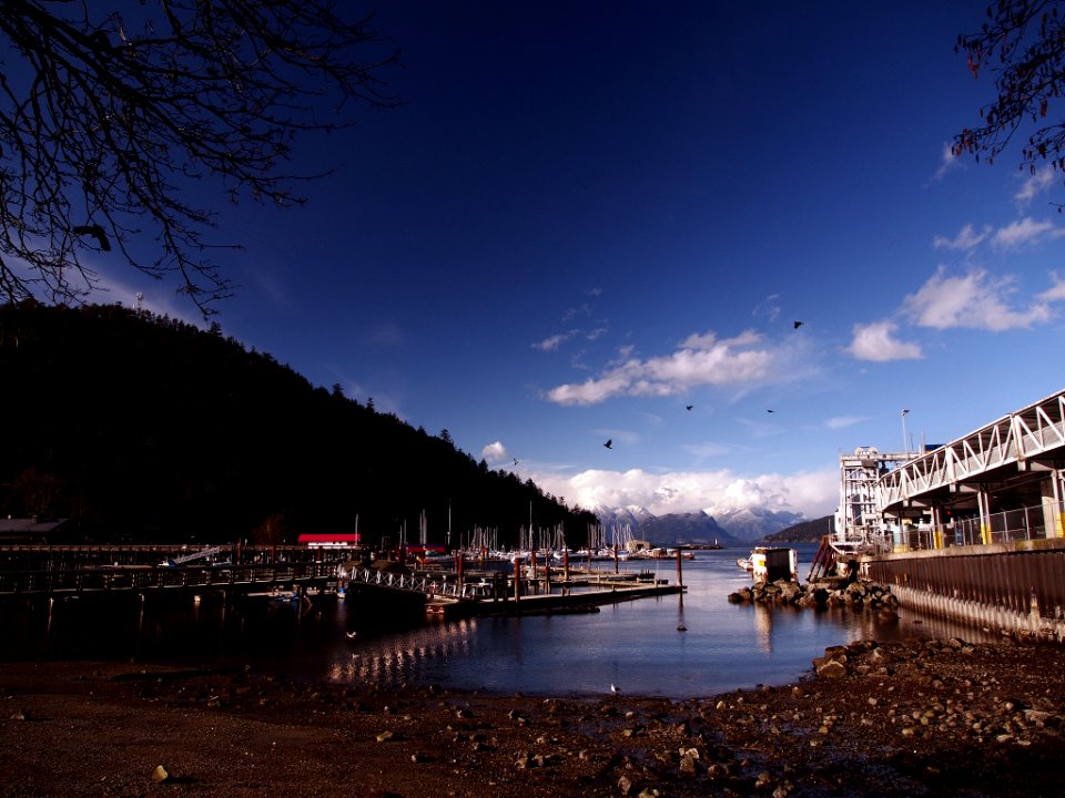 Waiting Ferry (205441843)