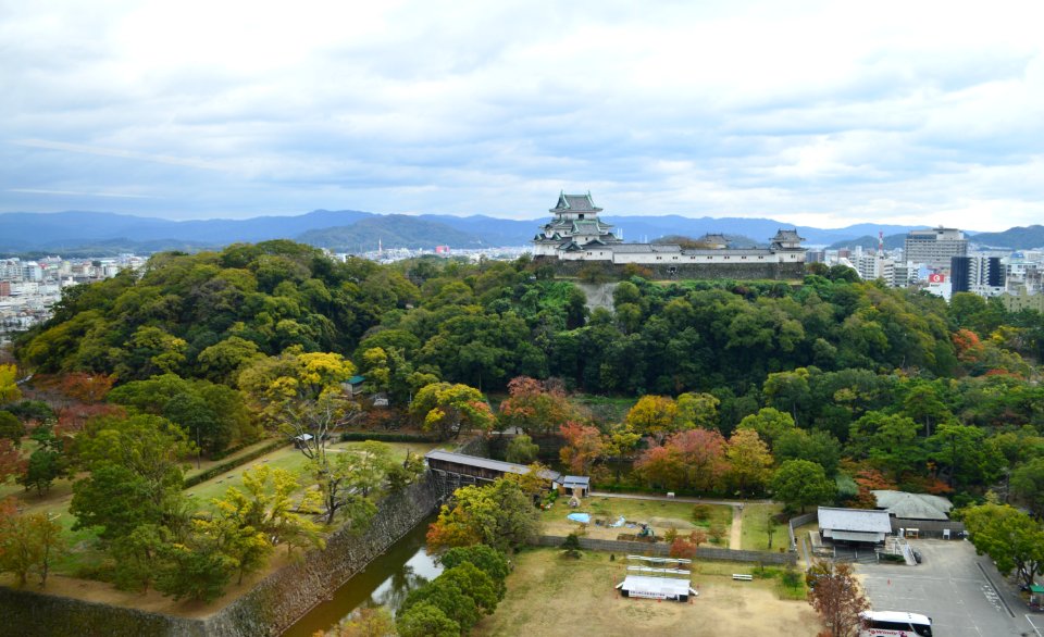Wakayama Castle viewed from Wakayama city office