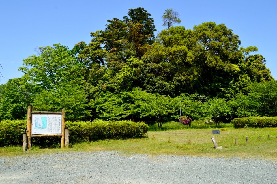 Wakasa Kokubunji Kofun, zenkei