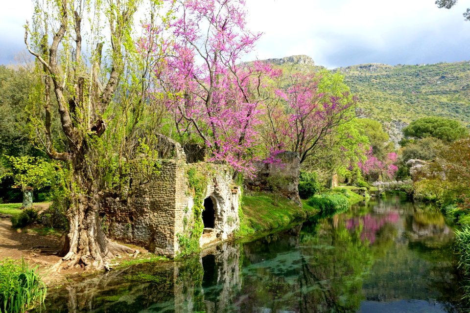Water in spring - Giardino di Ninfa, Italy - DSC03067