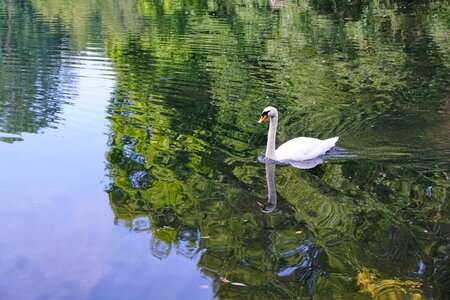 Donaueschingen summer park