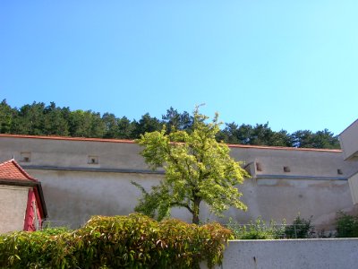 Webergasse 34 Eichstätt Stadtmauer -2