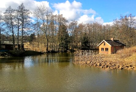 Spring for countryside