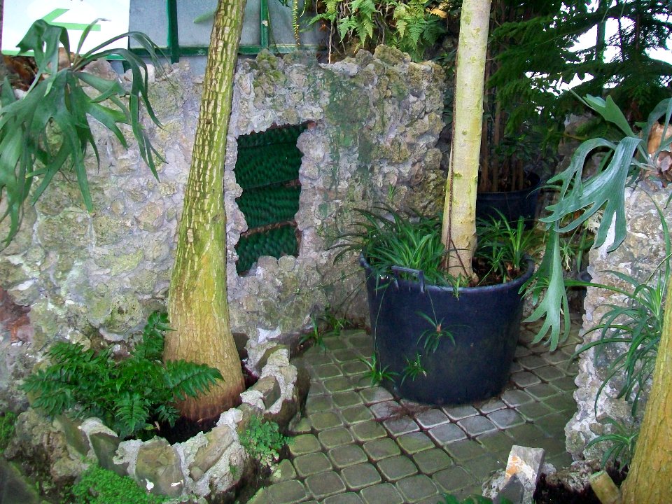 WAŁBRZYCH-PALMIARNIA, AB-024