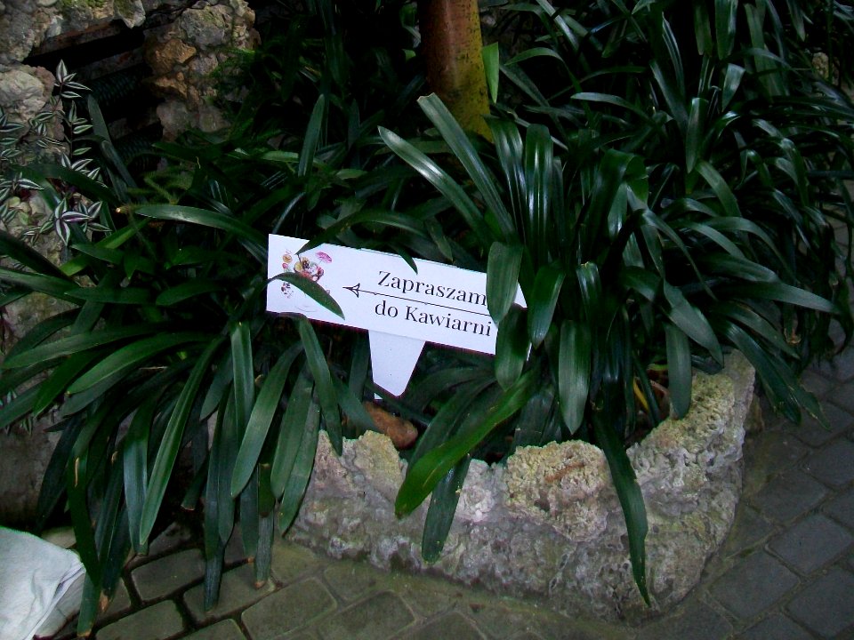 WAŁBRZYCH-PALMIARNIA, AB-026