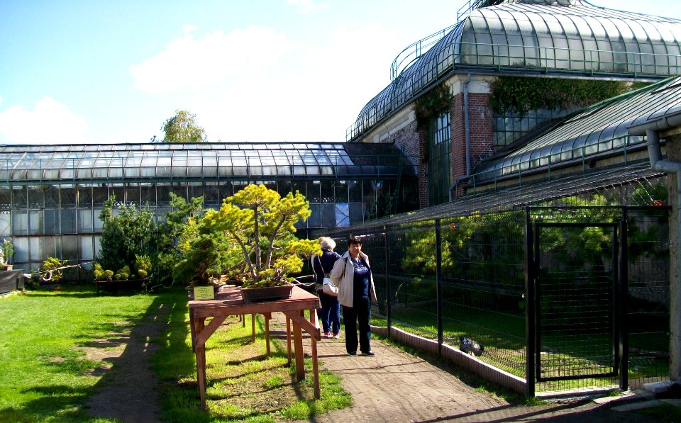 WAŁBRZYCH-PALMIARNIA, AB-050