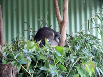 Warrook Farm (7 January 2020) 1