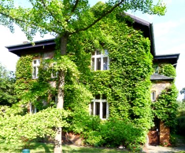 Weddigenweg 16 (Berlin-Lichterfelde)