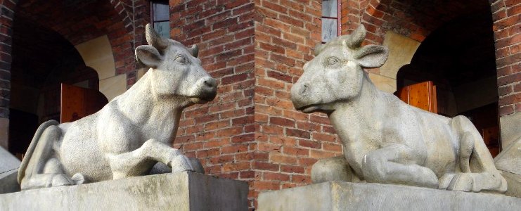 Waalwijk kunstwerk koe en os