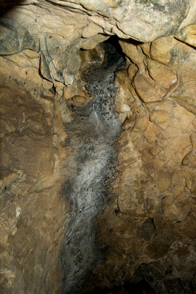Westliche Buchleitenhöhle (A 181a) 13