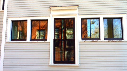 Windows - Arlington, MA - DSC03625