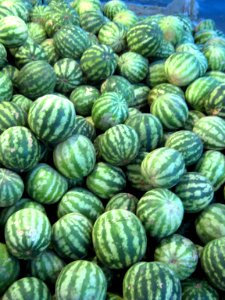 Watermelon - Fruit Bazaar - near Besat sq - Nishapur 02
