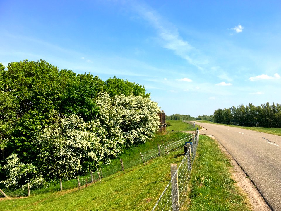 Waaldijk bij Kommerdijk, Gendt