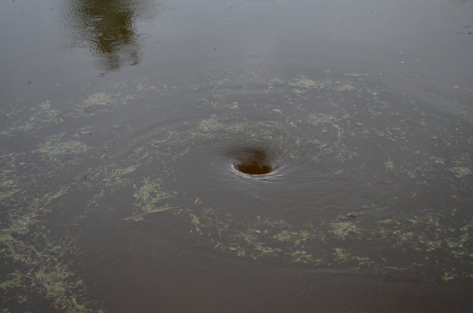 Water drain cyclone