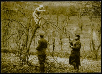 Watching woman cutting down branches, Bestanddeelnr 158-0119