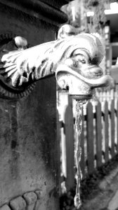 Water (187744321)