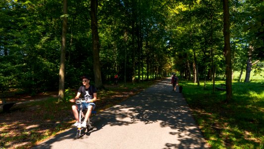 Wien 17 Schwarzenbergpark ad
