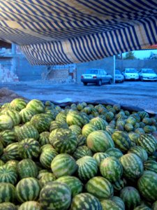Watermelon - Fruit Bazaar - near Besat sq - Nishapur 04