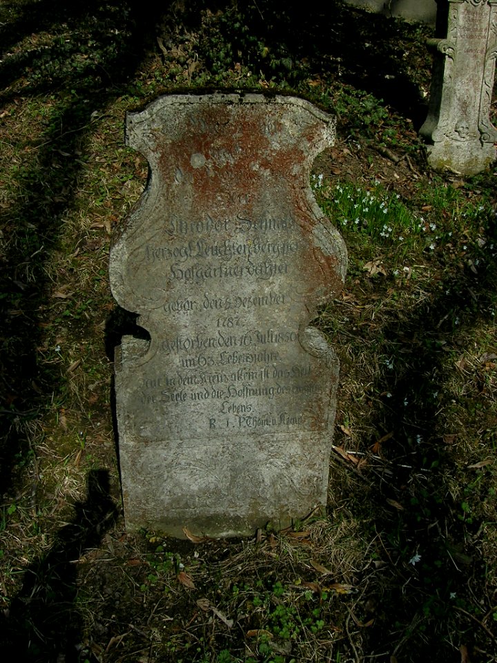 Westenfriedhof Eichstätt -Grabstein Theodor Schmitz