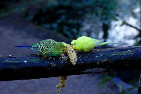 Animal world animals eat