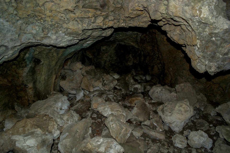 Westliche Buchleitenhöhle (A 181a) 20
