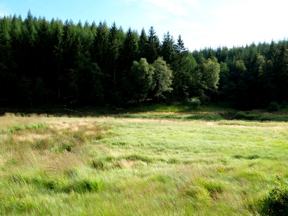 Wesertalsperre in September 2019 11