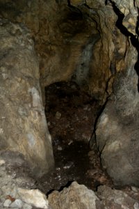 Westliche Buchleitenhöhle (A 181a) 08