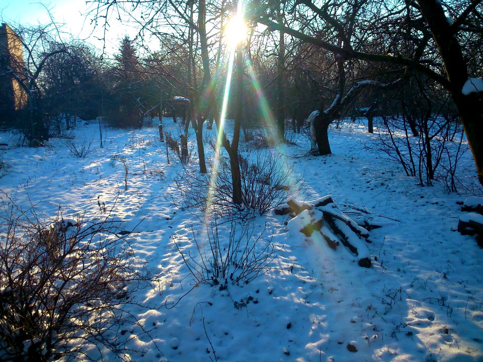 Winter, Miskininku Street Jonava, '14 garden