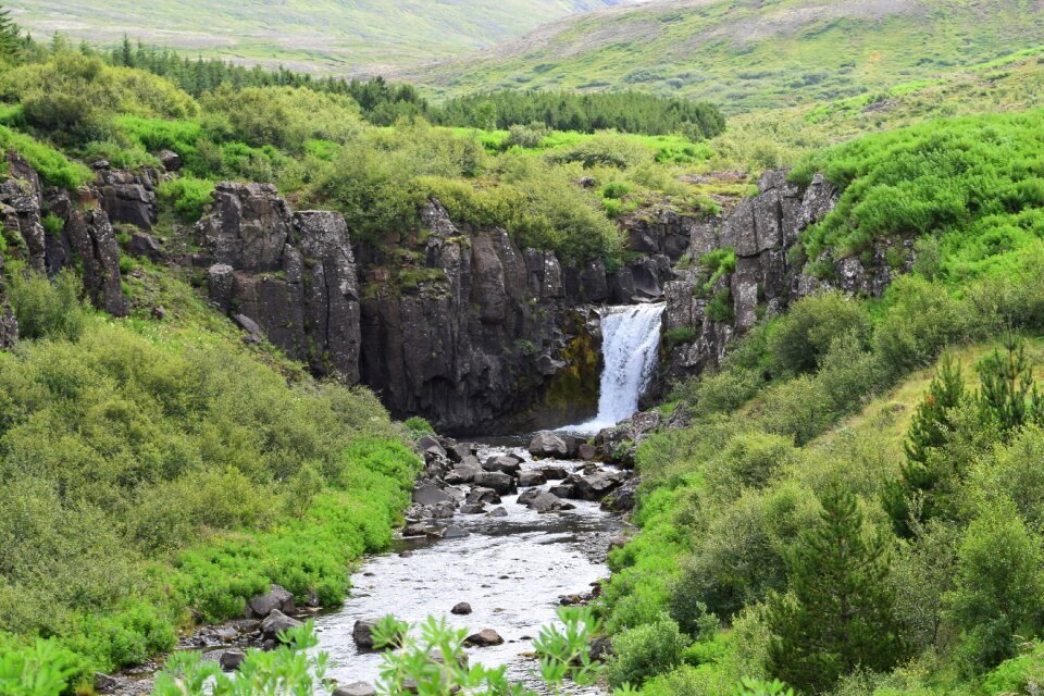 Nature green water