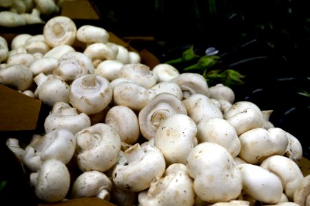 WhiteMushroom
