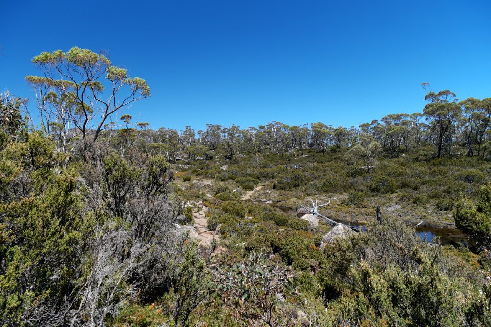 Walls of Jerusalem National Park, Tasmania 38