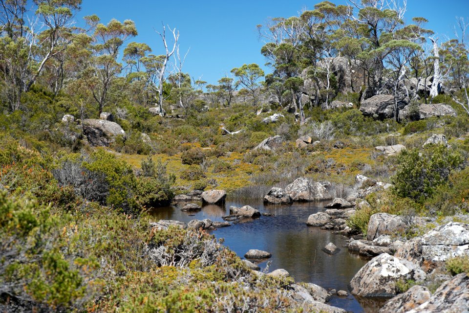 Walls of Jerusalem National Park, Tasmania 43