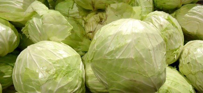 White cabbages at Asian supermarket in New Jersey photo
