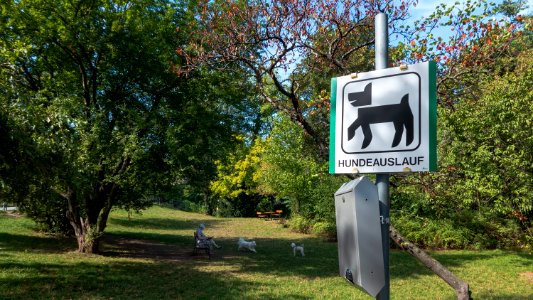 Wien 19 Wertheimsteinpark g