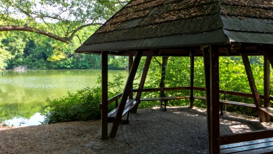 Wien 10 Kurpark Oberlaa Filmteich g