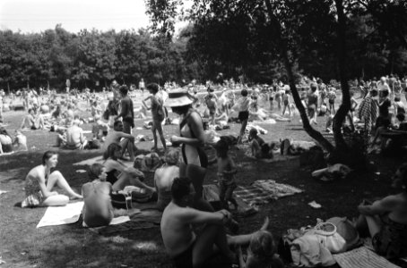 Warme zondag op Zandvoort Drukte in Bad Crailo, Bestanddeelnr 912-6853