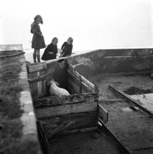 Walcheren, Bestanddeelnr 901-0317