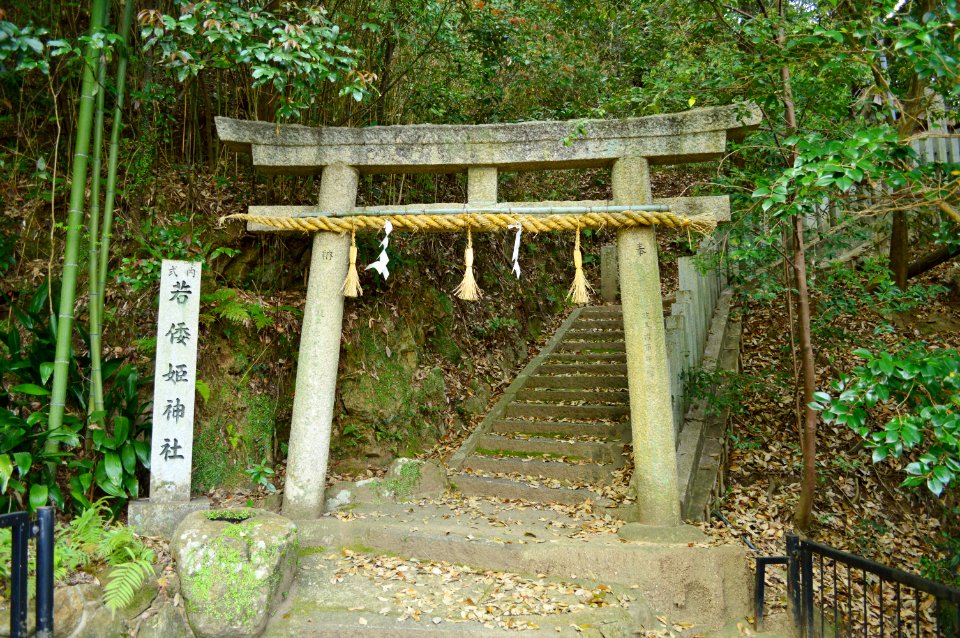 Wakayamatohime-jinja, torii