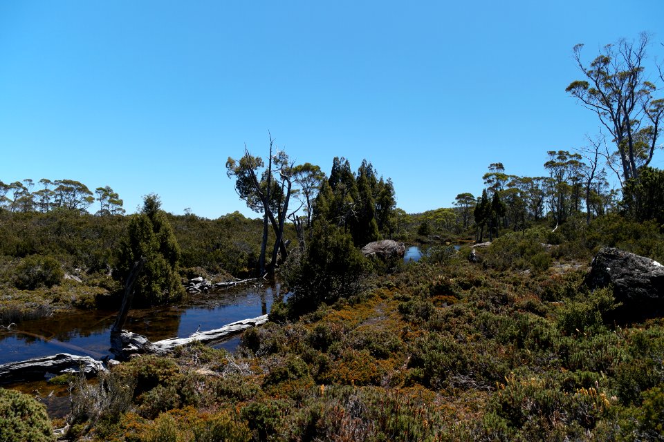 Walls of Jerusalem National Park, Tasmania 39