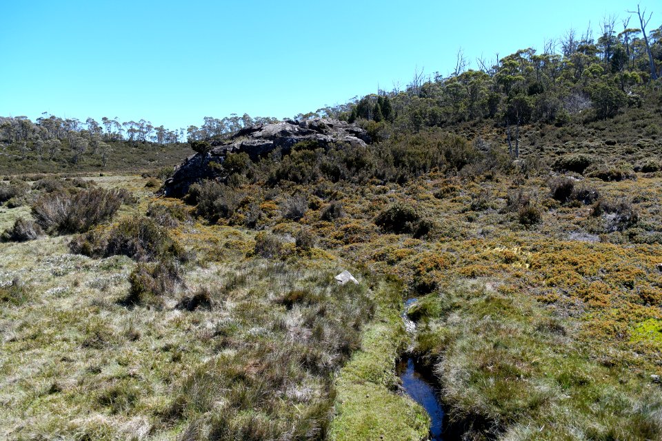 Walls of Jerusalem National Park, Tasmania 84