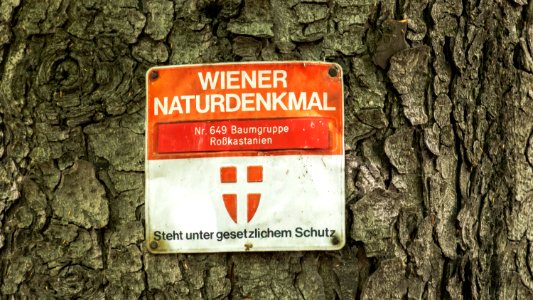 Wien 15 Naturdenkmal 649 b