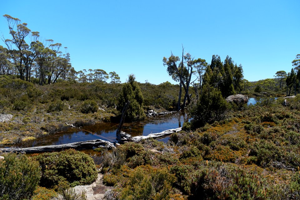 Walls of Jerusalem National Park, Tasmania 40