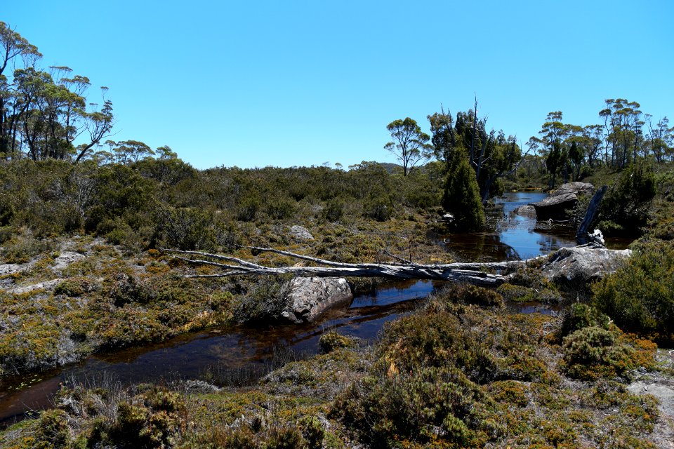 Walls of Jerusalem National Park, Tasmania 41